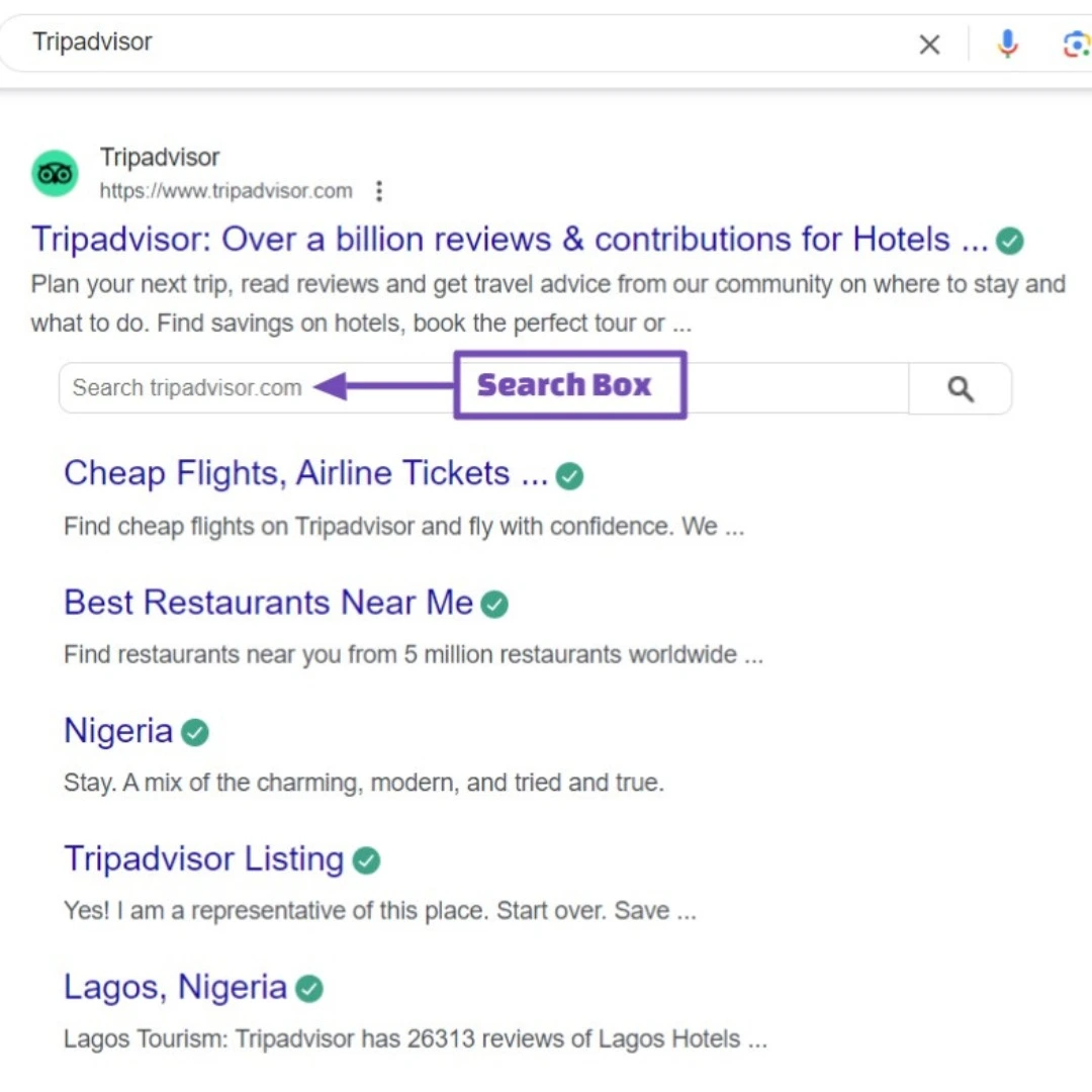 Sitelinks Search Box